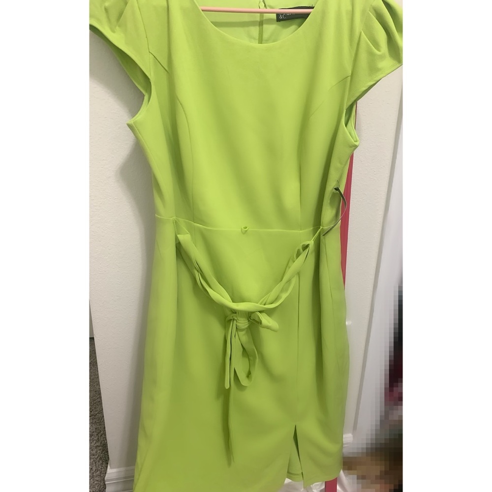 Salient green dress